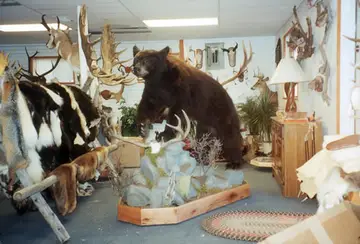 Taxidermy work from the Bragging Room, photo 157