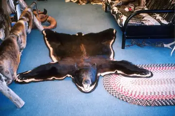 Taxidermy work from the Bragging Room, photo 170