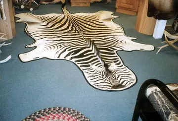 Taxidermy work from the Bragging Room, photo 199