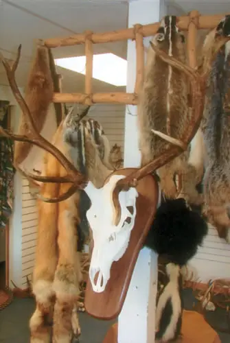 Taxidermy work from the Bragging Room, photo 215