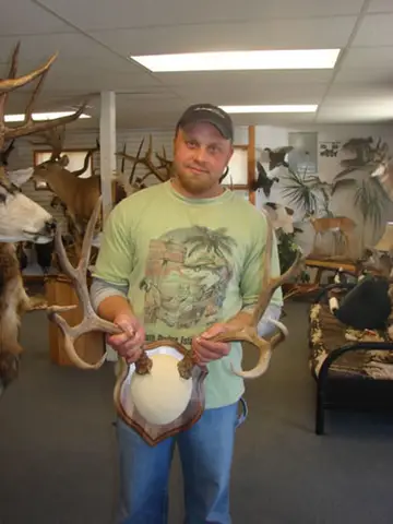 Taxidermy work from the Bragging Room, photo 91