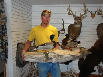 Antelope Cape And Antelope Tag-632 — Bragging Room photo 69