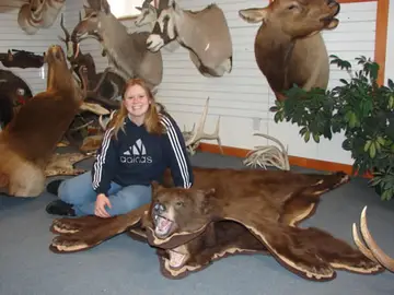Deer — Bragging Room photo 95