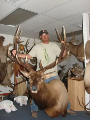Taxidermy work from the Bragging Room, photo 116