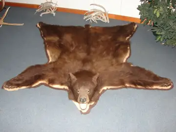 Taxidermy work from the Bragging Room, photo 135