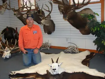 Taxidermy work from the Bragging Room, photo 118
