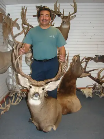 Taxidermy work from the Bragging Room, photo 104