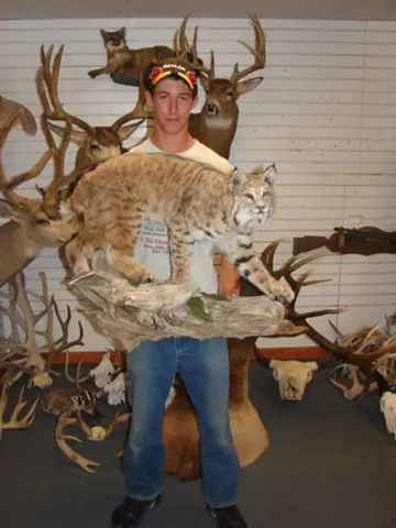 Taxidermy work from the Bragging Room, photo 108