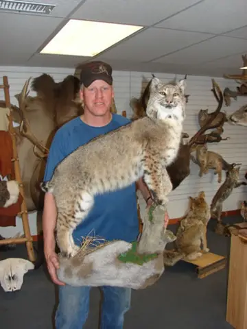 Taxidermy work from the Bragging Room, photo 109