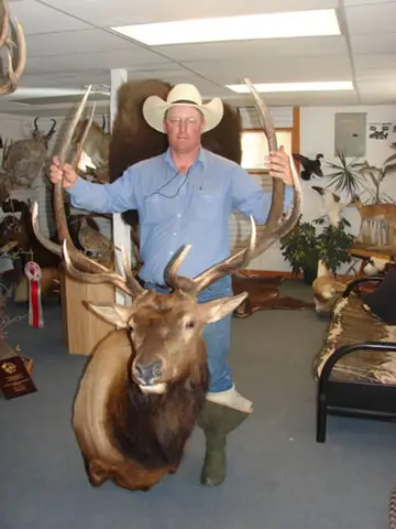 Elk Picture, Sewing, Whitetail — Bragging Room photo 77