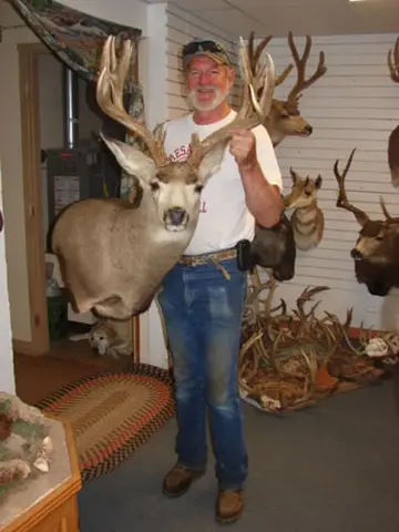 Elk Picture, Sewing, Whitetail — Bragging Room photo 79