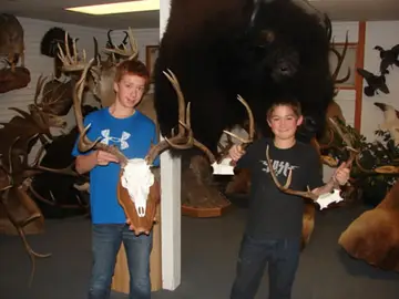 Mule Deer Cape, L — Bragging Room photo 45