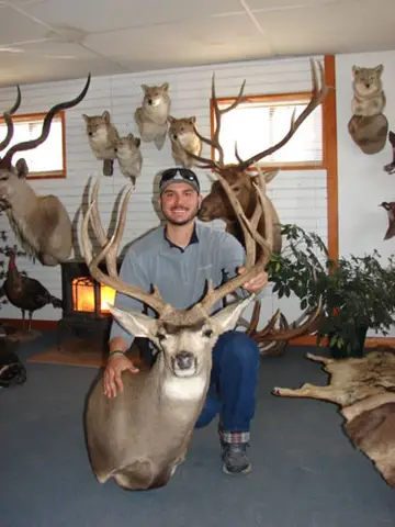 Taxidermy work from the Bragging Room, photo 5