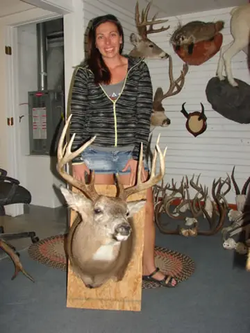 Coyote Skull, Misc. Skulls — Bragging Room photo 15