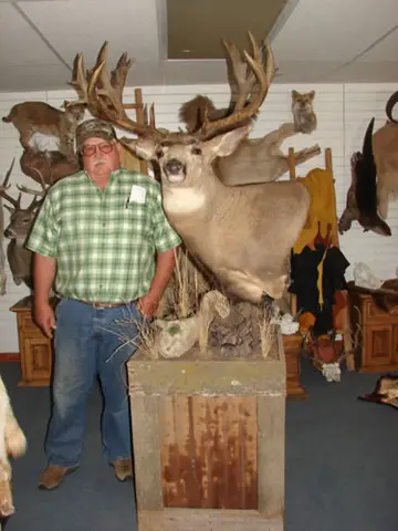 Wt Cape — Bragging Room photo 10