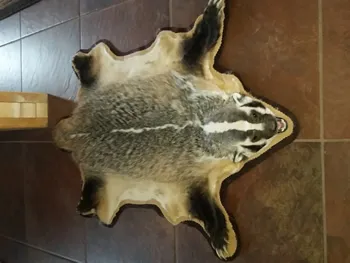 Badger Rug