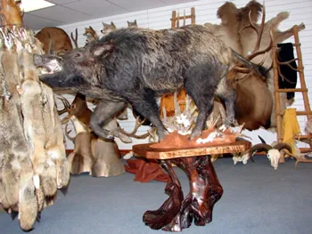 Lifesize hog
